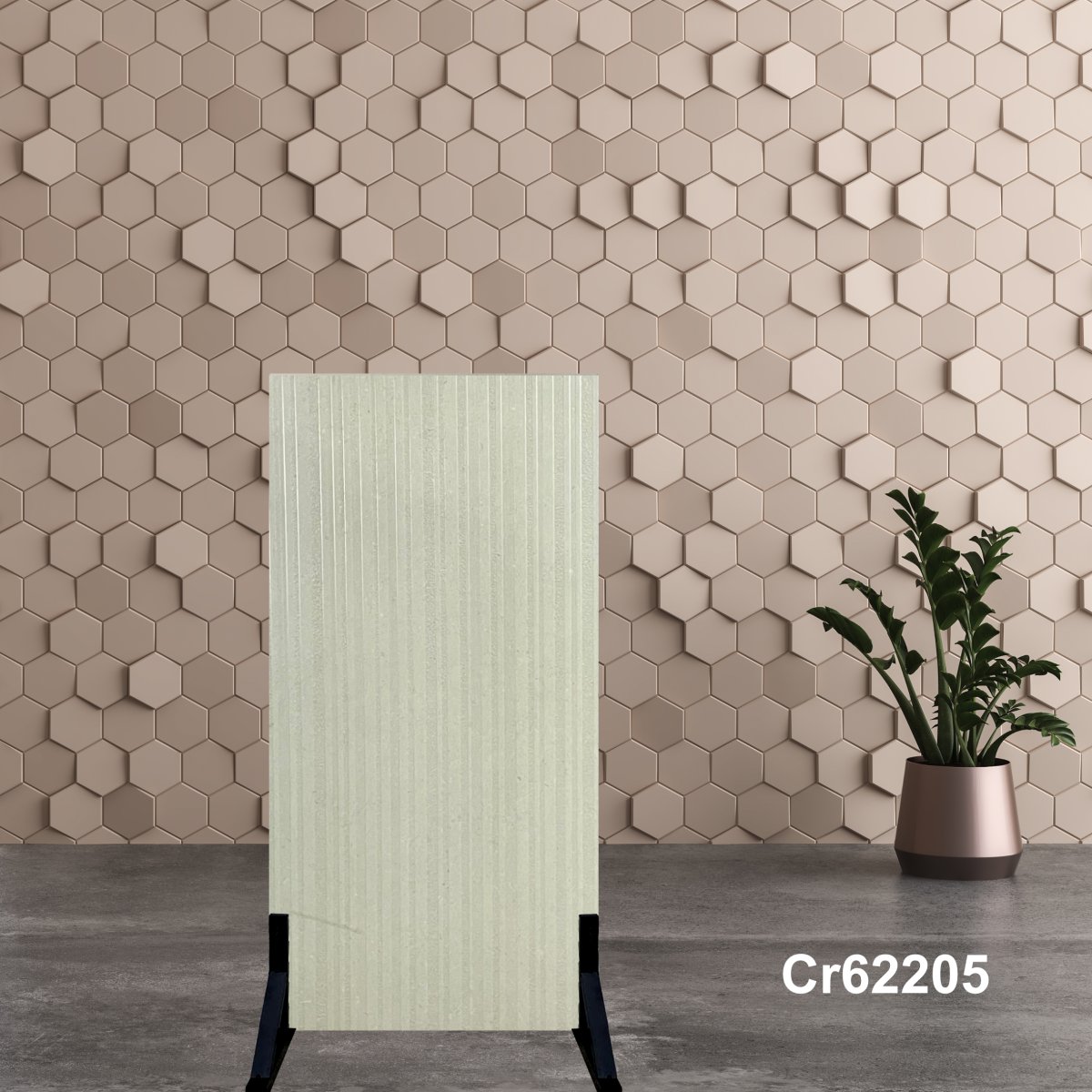 Gạch Ấn Độ 60x120 Cr62205