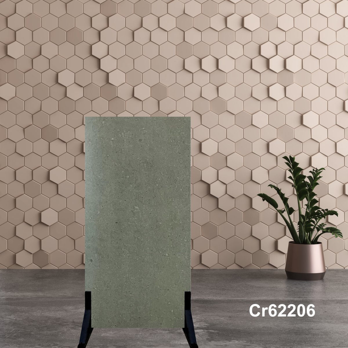 Gạch Ấn Độ 60x120 Cr62206