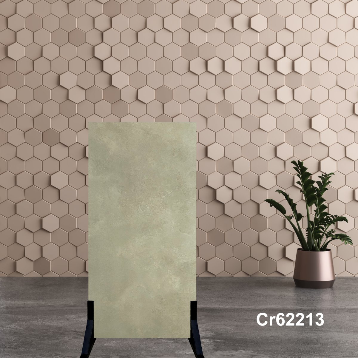 Gạch Ấn Độ 60x120 Cr62213