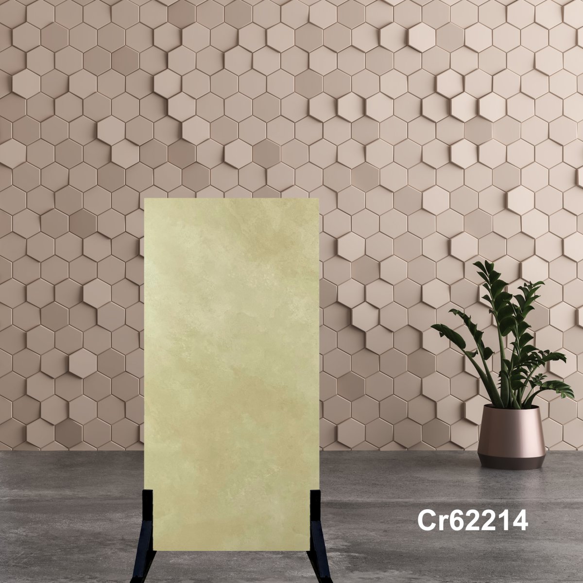 Gạch Ấn Độ 60x120 Cr62214