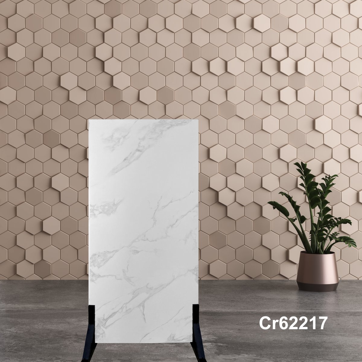 Gạch Ấn Độ 60x120 Cr62217