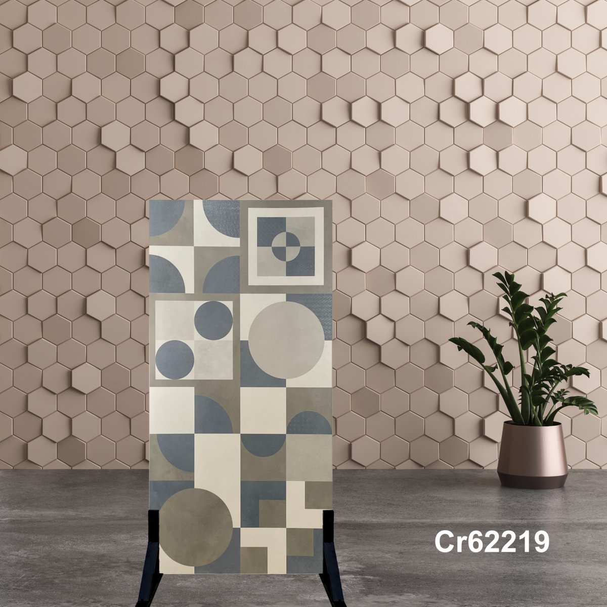 Gạch Ấn Độ 60x120 Cr62219