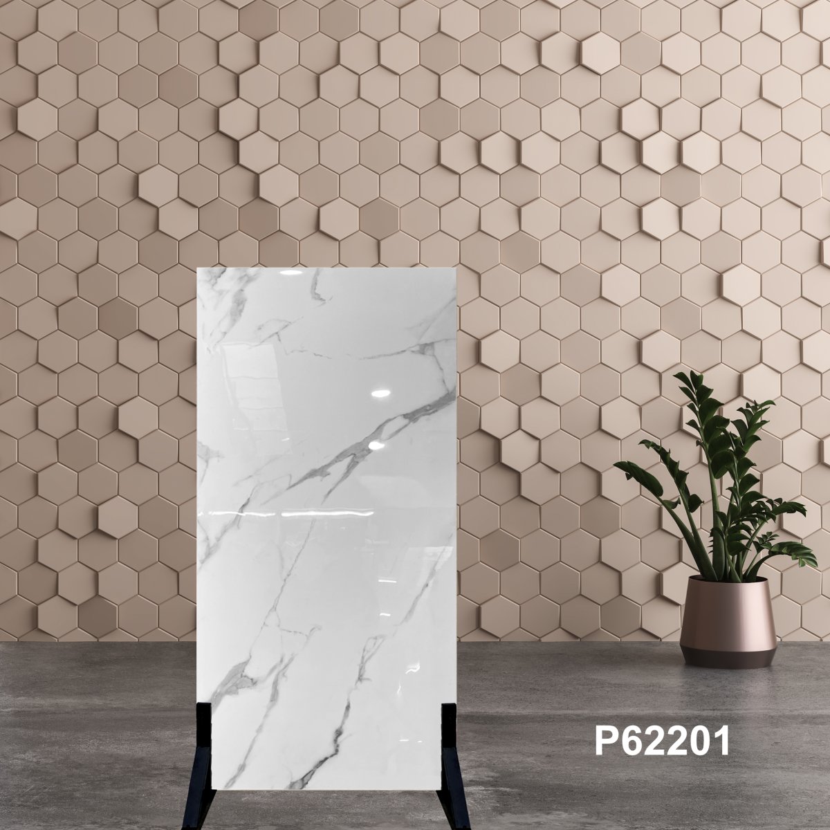 Gạch Ấn Độ 60x120 P62201