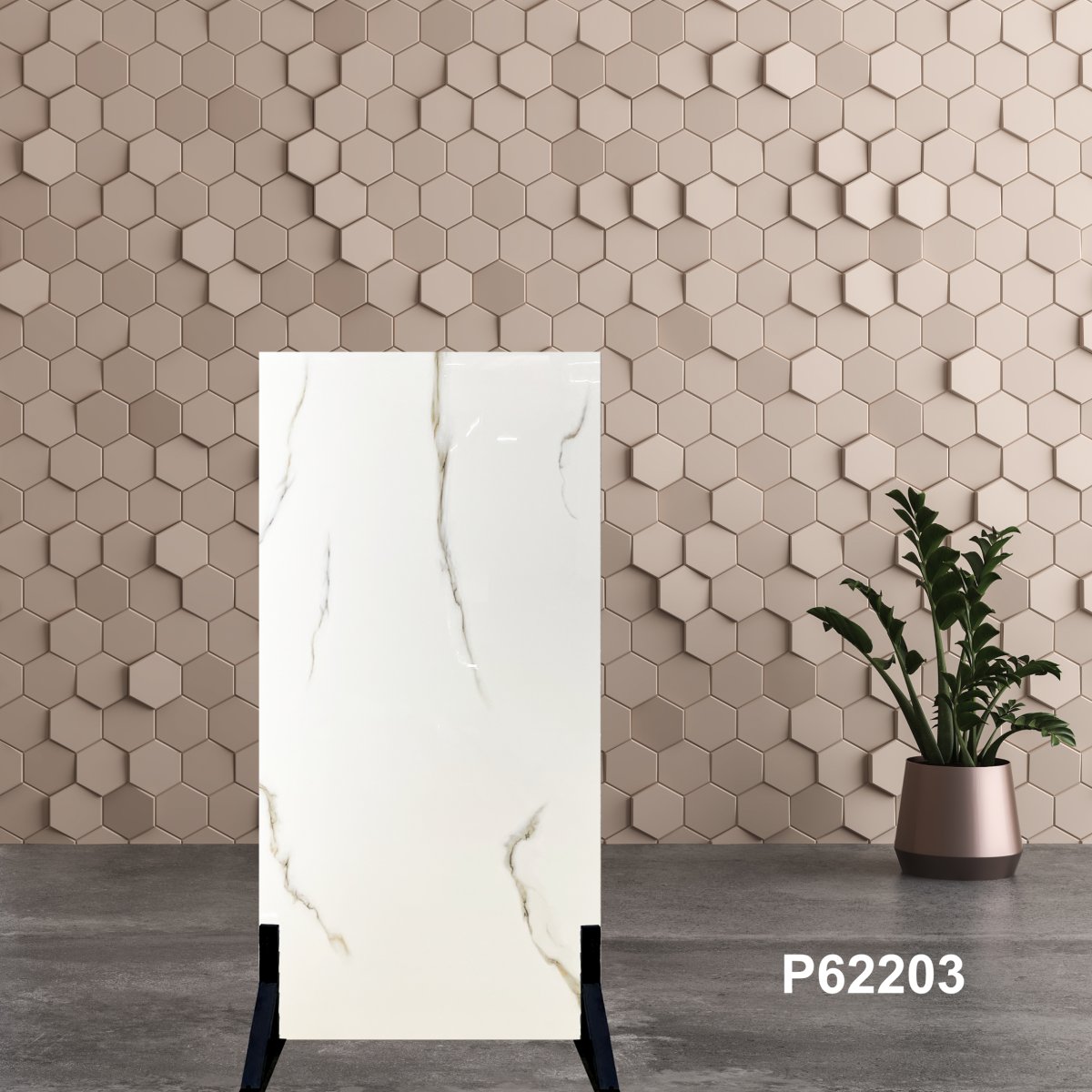 Gạch Ấn Độ 60x120 P62203