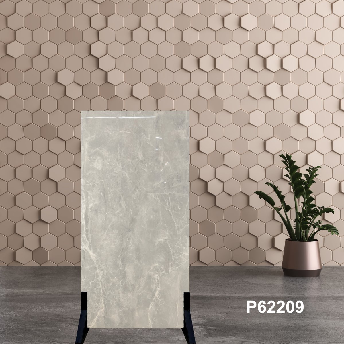 Gạch Ấn Độ 60x120 P62209