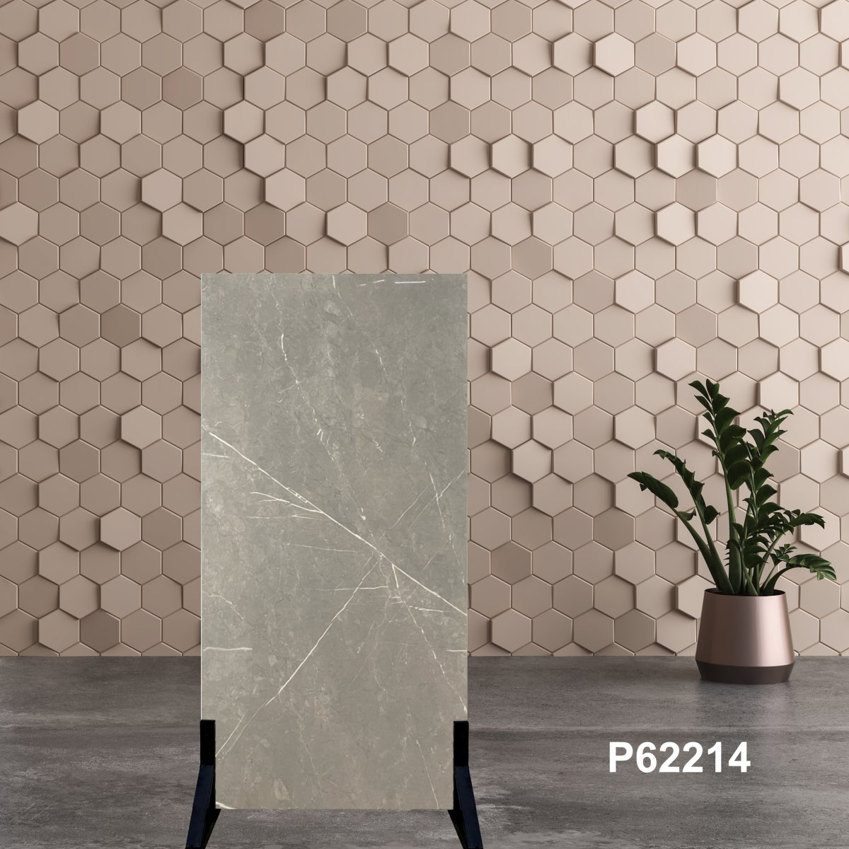 Gạch Ấn Độ 60x120 P62214