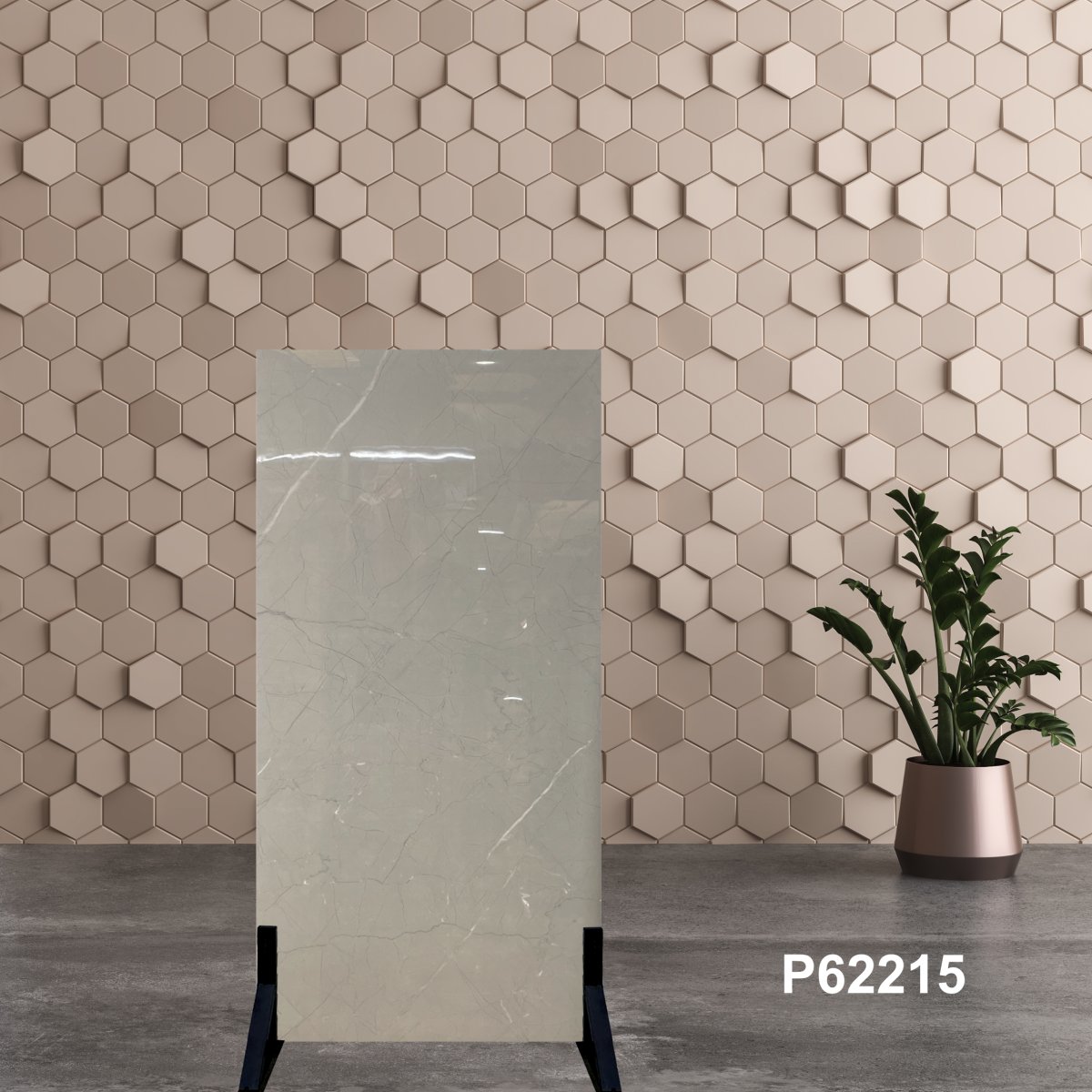 Gạch Ấn Độ 60x120 P62215