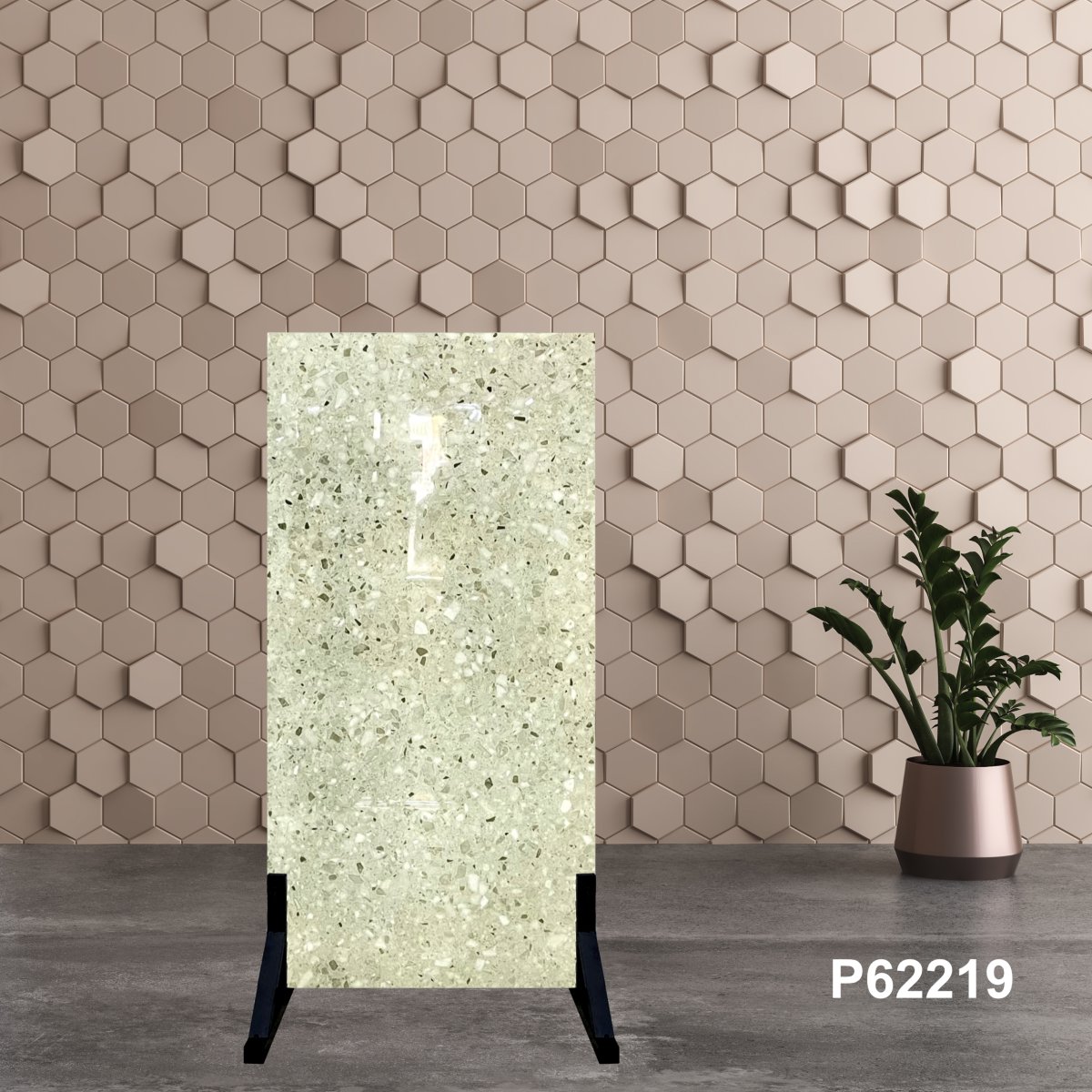 Gạch Ấn Độ 60x120 P62219