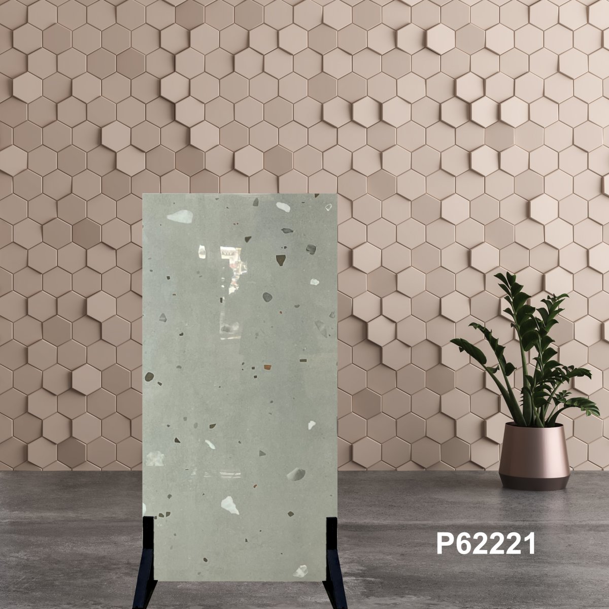 Gạch Ấn Độ 60x120 P62221