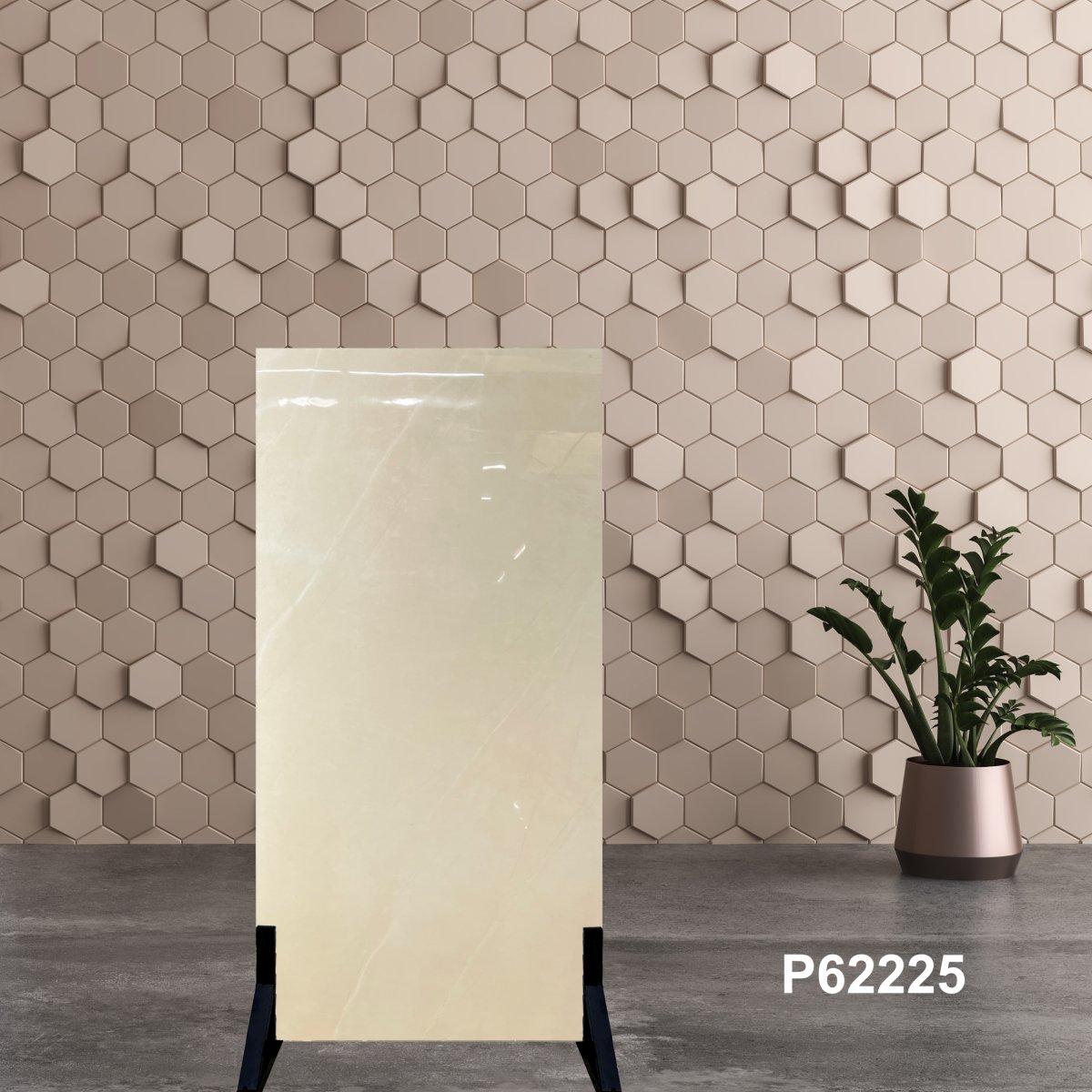 Gạch Ấn Độ 60x120 P62225