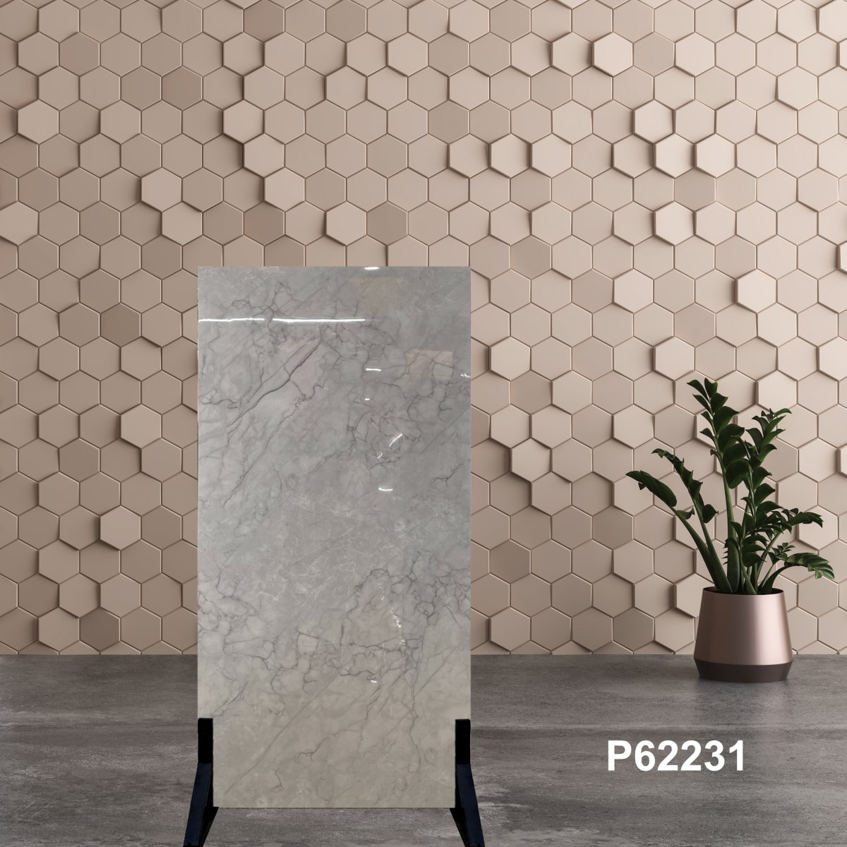 Gạch Ấn Độ 60x120 P62231