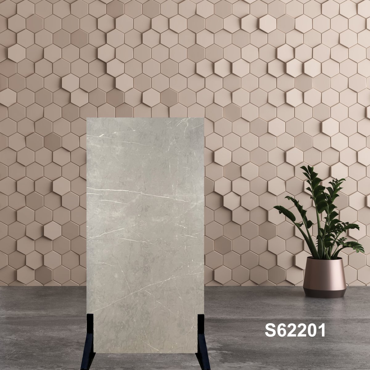 Gạch Ấn Độ 60x120 S62201