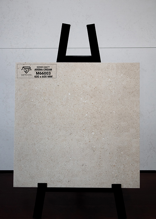 Gạch Ấn Độ 600x600 ARENA CREAM M66003