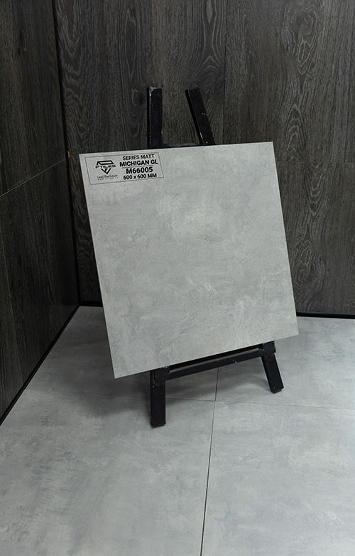 Gạch Ấn Độ 600x600 MICHIGAN GRIS LT M66005