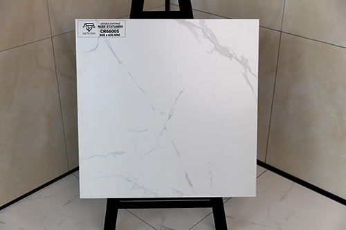 Gạch Ấn Độ 600x600 NUBE STATUARIO CR66005