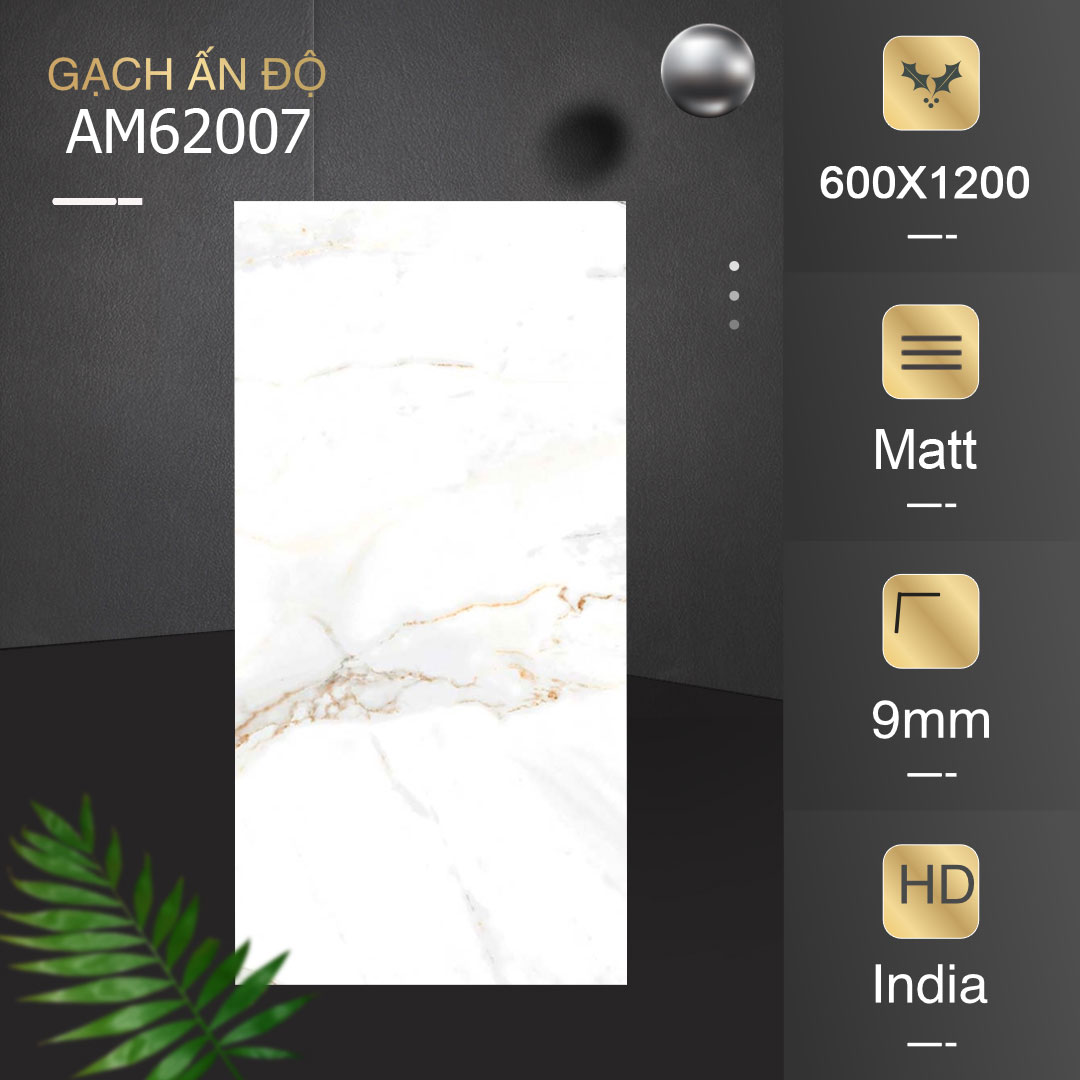 Gạch Ấn Độ 60x120 AM62007