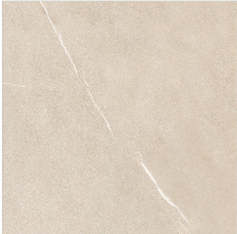 FTILES 600X600 BRUNEI IVORY AZ-M66007