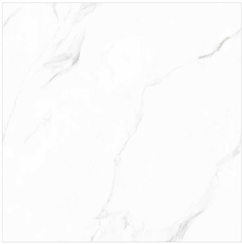 FTILES 800X800 PLANTA STATURIO AZ-M88001