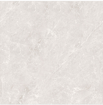 FTILES 800X800 DOLOMIA GREY  AZ-G88036